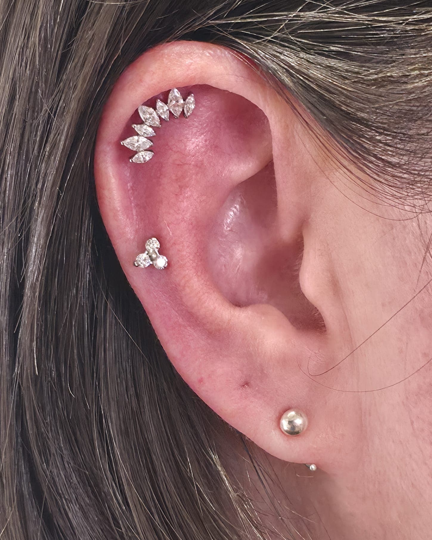 Marquise crawler climbing the ear rim alongside a cartilage cluster